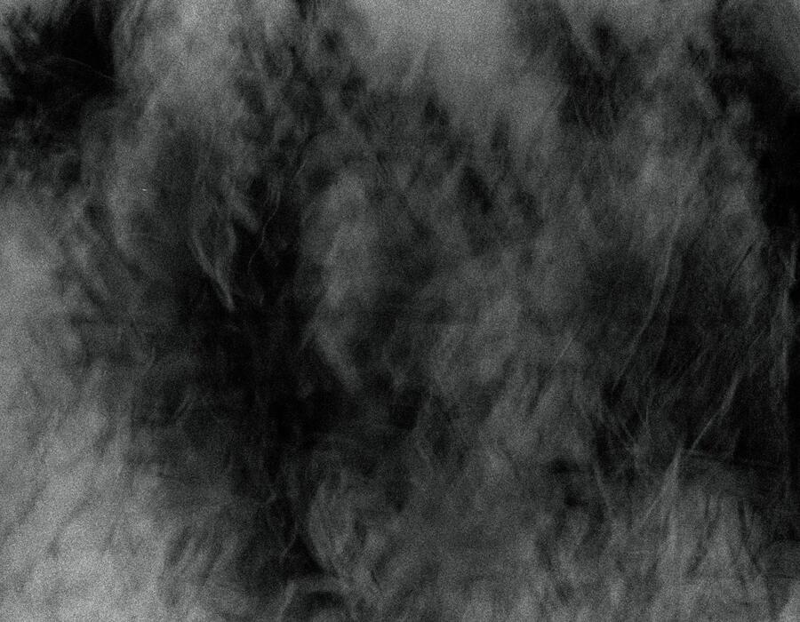 0105.jpg