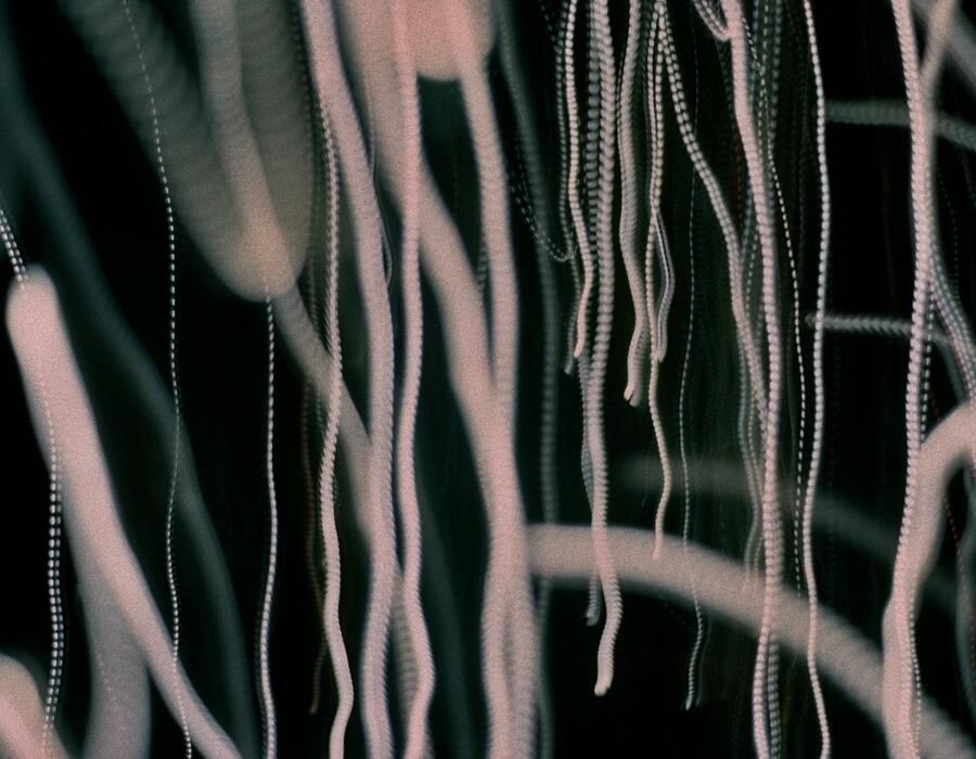 15a_0771.jpg