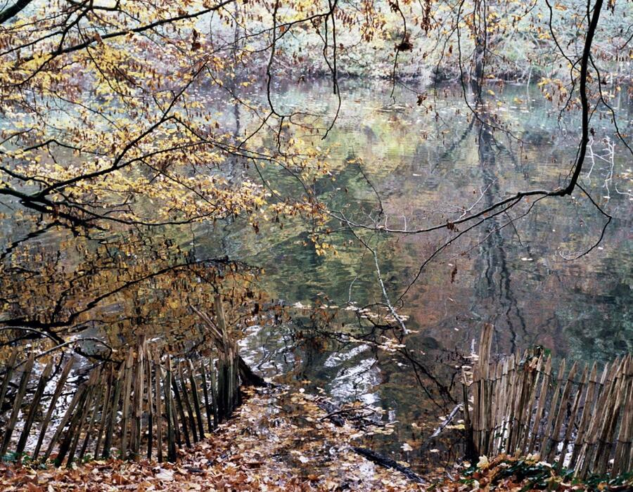 24a_0157.jpg