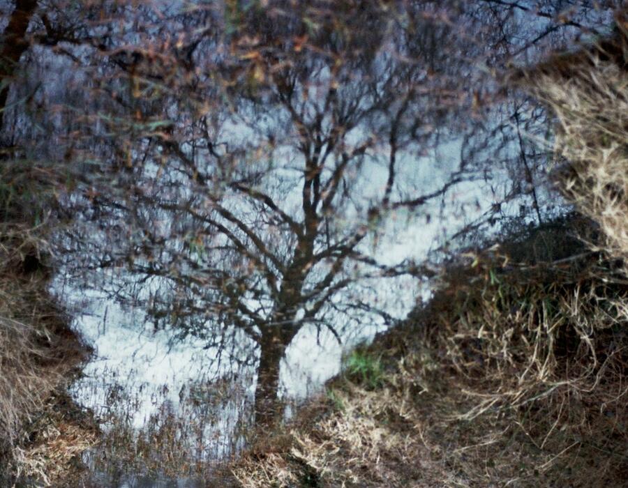2a_0113.jpg
