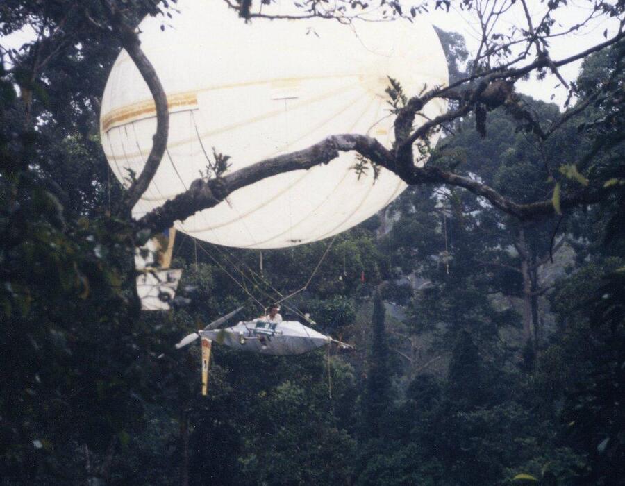 d4-canopy.jpg