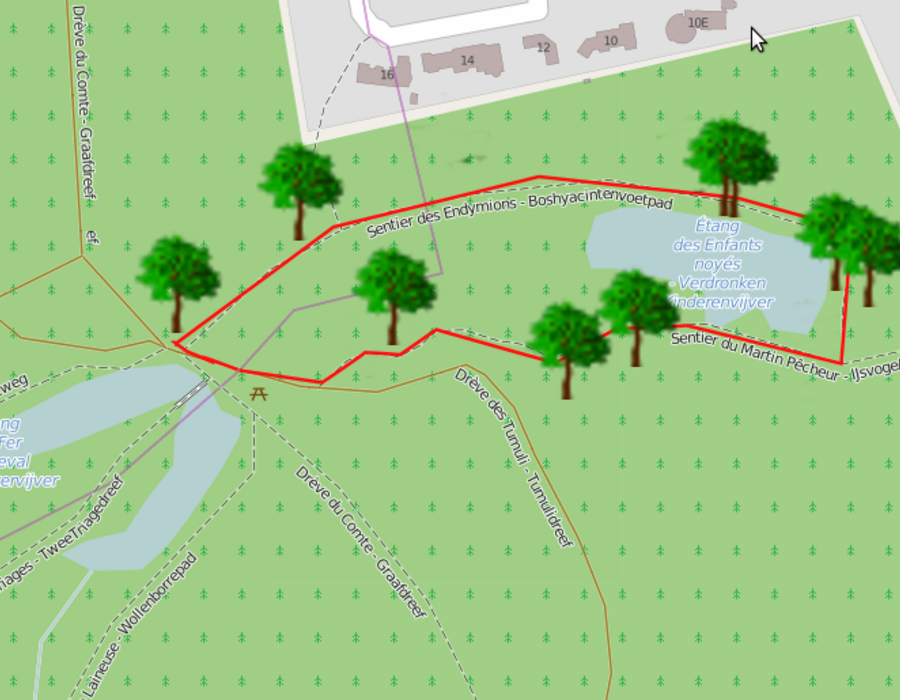 forestwalk_map.png