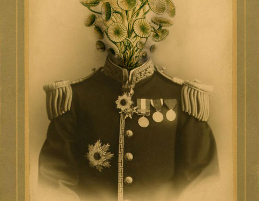 general_spineoform.jpg