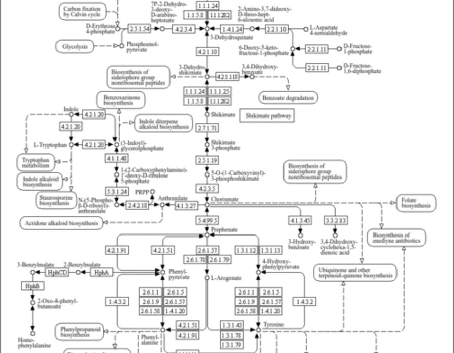 map00400.gif