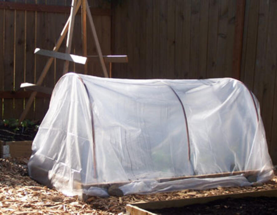 minigreenhouse.jpg