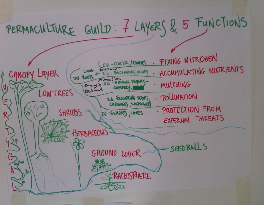 permaculture-functions.jpg