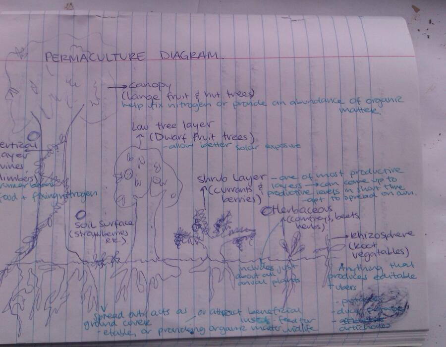 permaculture.jpg