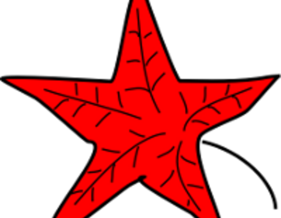 redleaf200.png